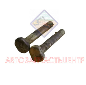 Болт специальный 800.00.40.04-01