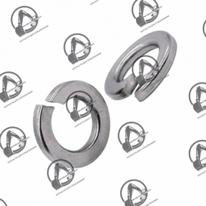 Шайба 16.65Г.06 ГОСТ 6402-70 